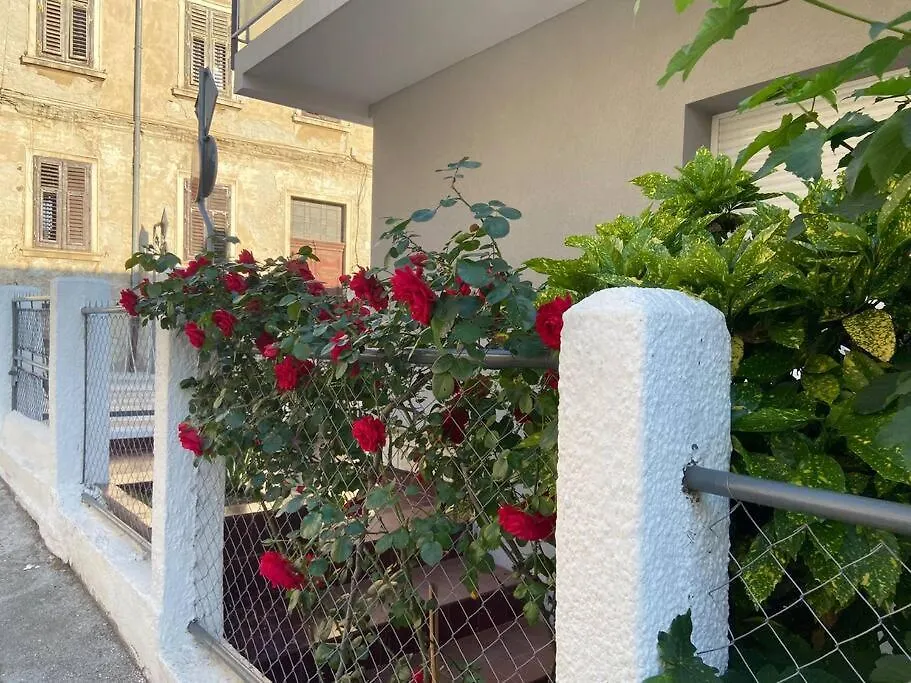 Green Oasis New Apartment Pula